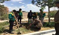 کاشت 200 اصله نهال به مناسبت گرامیداشت هفته سلامت در دانشگاه علوم پزشکی زاهدان